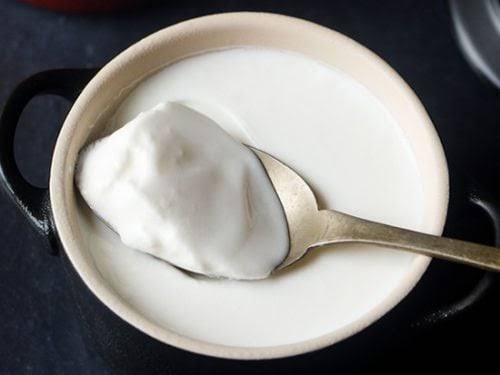 yogurt