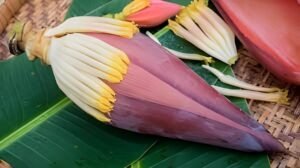 Health Benefits of Banana Flowers