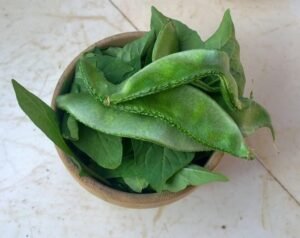 Health Benefits of Broad Beans