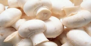 Health Benefits of Mushrooms, the Ultimate Super Food