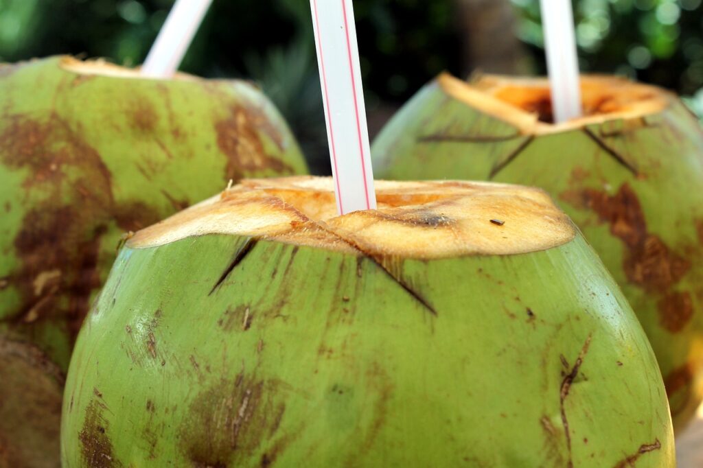 poop, coconut water, cocktail-607349.jpg
