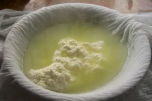 Whey Protein: A Comprehensive Guide to Its Health Benefits