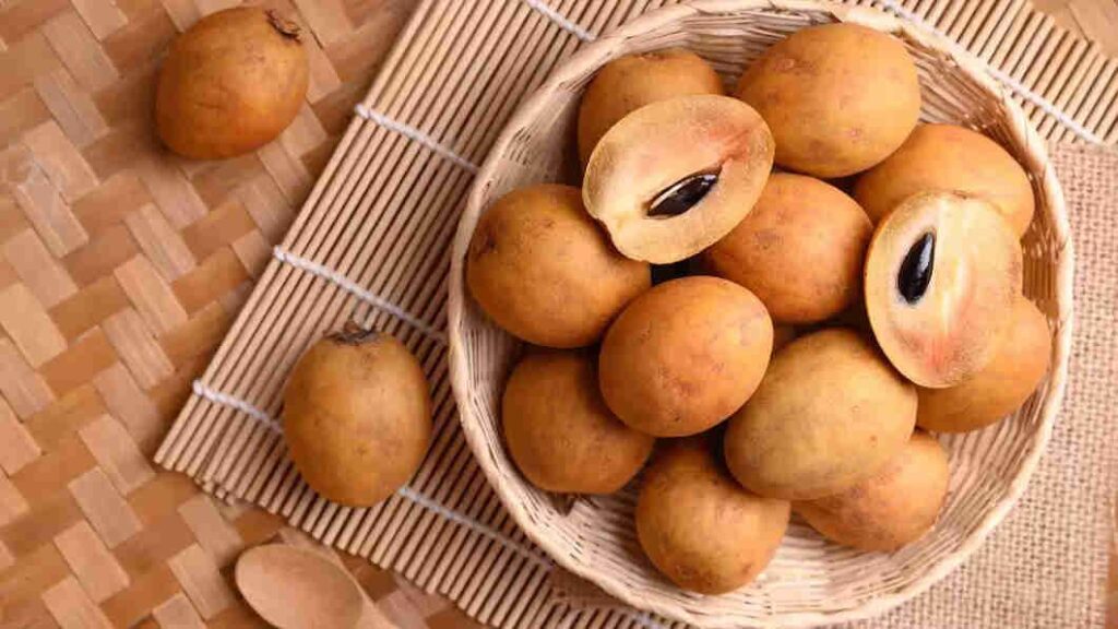 health benefits of chikoo (mud apple)