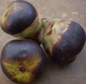 Health benefits of Palmyra Fruit