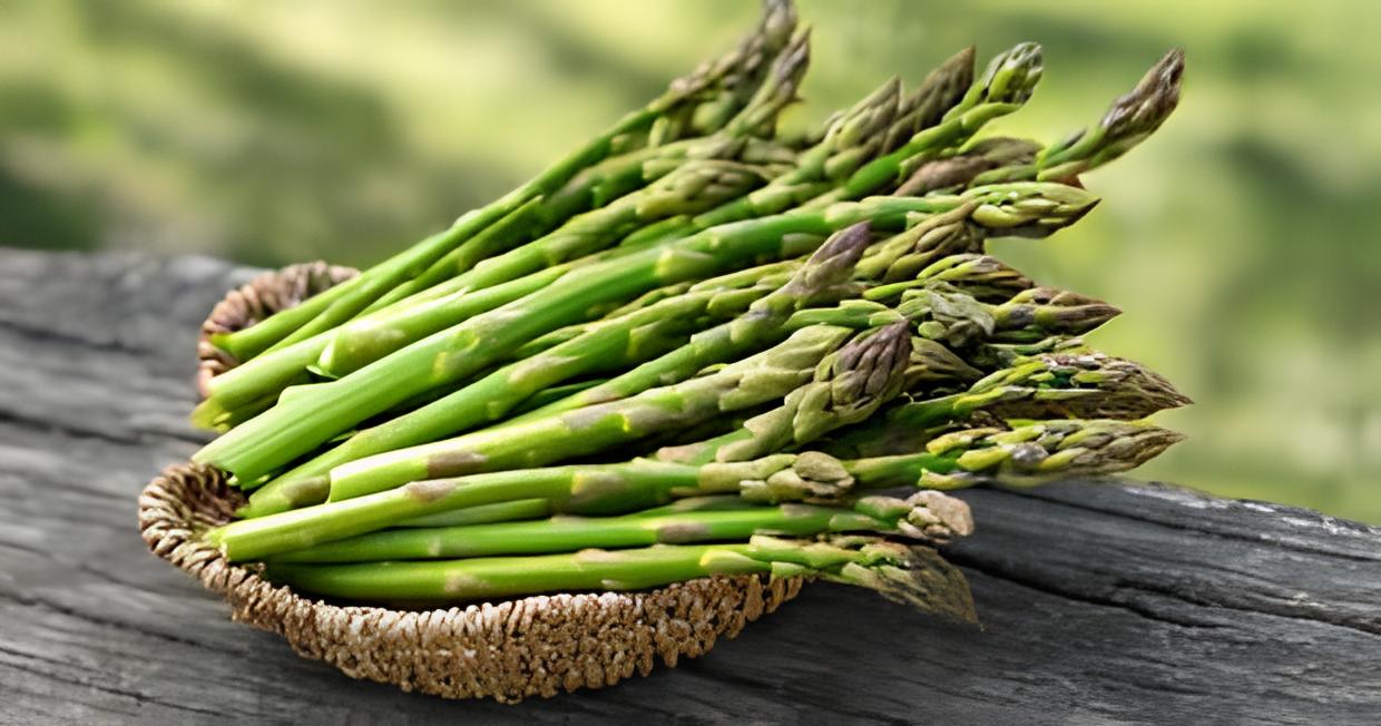 prebiotic