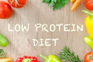 A Comprehensive Handbook on Adopting a Low-Protein Eating Plan