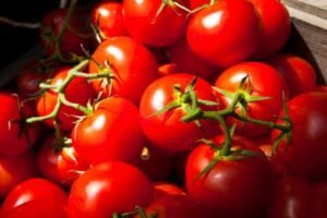 Understanding the Role of Tomatoes in Gout: Dietary Considerations And Individual Tolerance