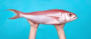 Can Eating Fish Help Prevent Rheumatoid Arthritis