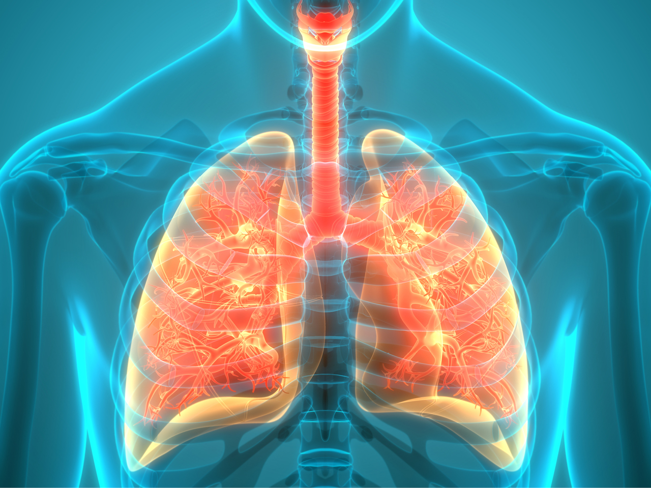 Causes , Symptoms And Diagnosis Of Bronchitis
