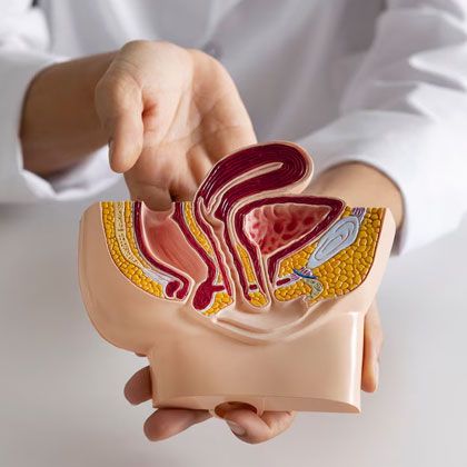 Benign Prostatic Hyperplasia