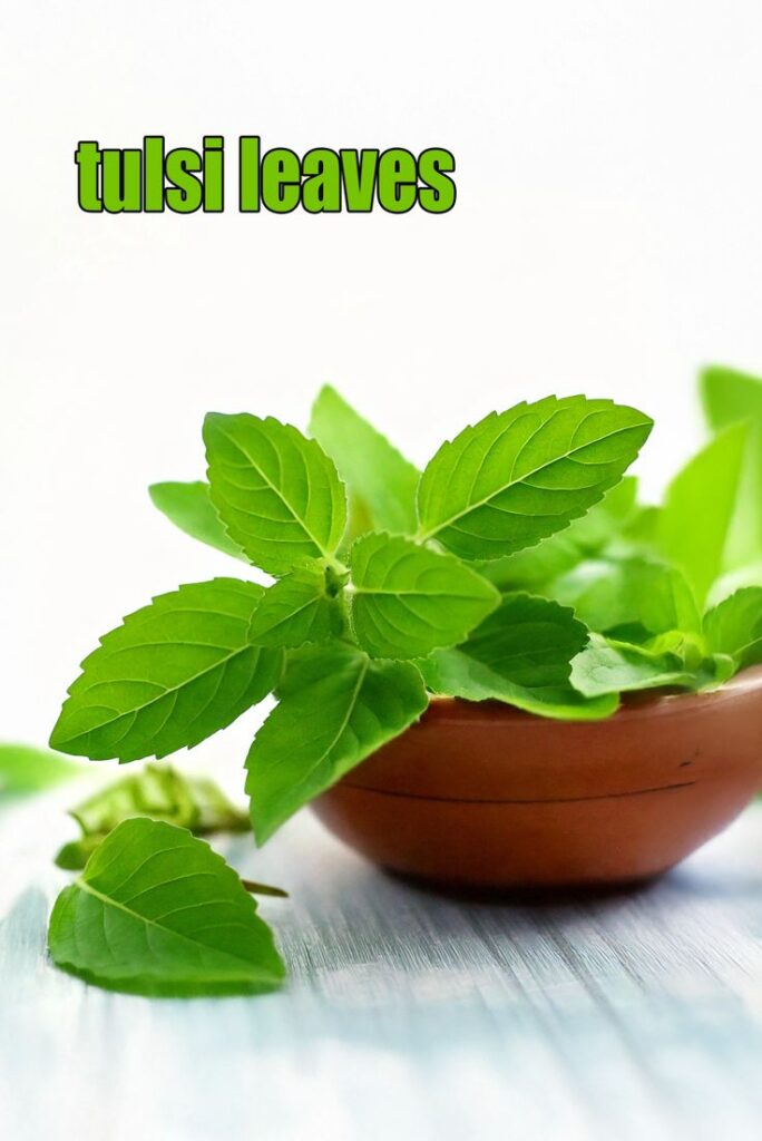 what is tulsi uses, benefits, recipes with tulsi