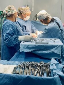 Plastic Surgery: Indications, Techniques, and Recovery