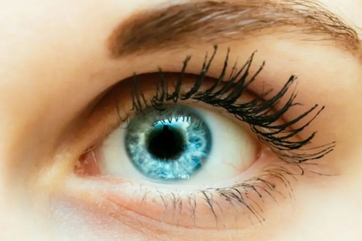 Nystagmus: Clinical Features and Physiotherapy Management