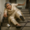 Drop Attack: Understanding Sudden Falls Without Loss of Consciousness